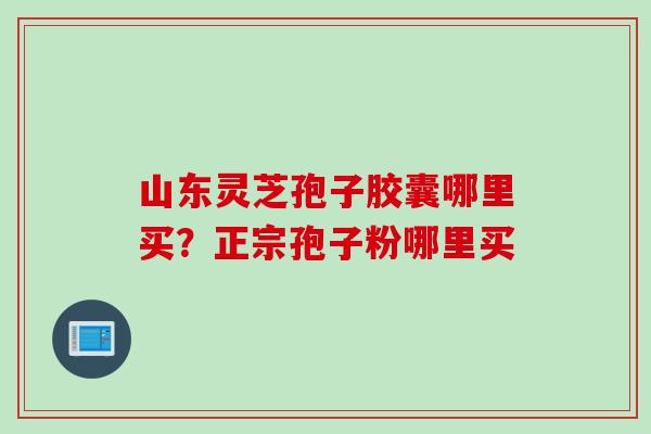 山东灵芝孢子胶囊哪里买？正宗孢子粉哪里买