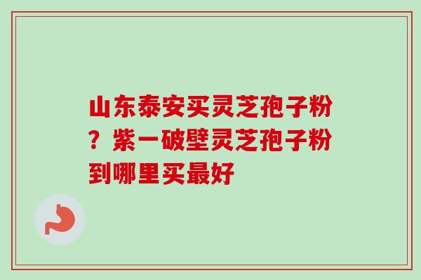 山东泰安买灵芝孢子粉?紫一破壁灵芝孢子粉到哪里买好 山东泰安买灵芝孢子粉?紫一破壁灵芝孢子粉到哪里买好