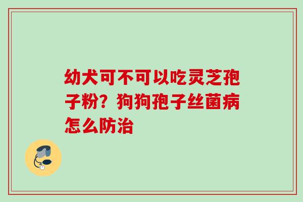 幼犬可不可以吃灵芝孢子粉？狗狗孢子丝菌病怎么防治
