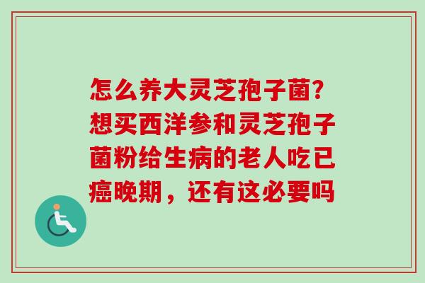 怎么养大灵芝孢子菌？想买西洋参和灵芝孢子菌粉给生病的老人吃已癌晚期，还有这必要吗