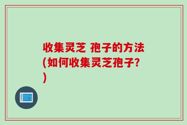 收集灵芝 孢子的方法(如何收集灵芝孢子？)