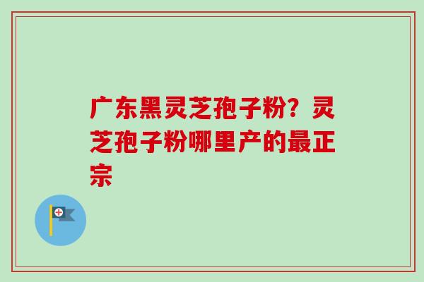 广东黑灵芝孢子粉？灵芝孢子粉哪里产的最正宗