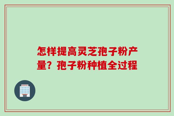 怎样提高灵芝孢子粉产量？孢子粉种植全过程