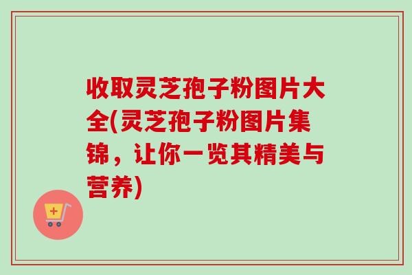 收取灵芝孢子粉图片大全(灵芝孢子粉图片集锦,让你一览其精美与营养) 收取灵芝孢子粉图片大全(灵芝孢子粉图片集锦,让你一览其精美与营养)