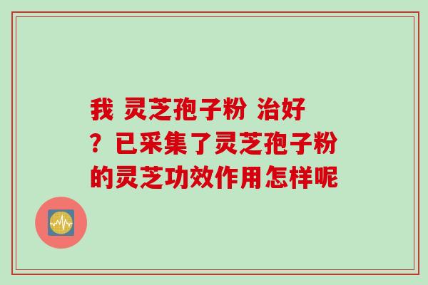 我 灵芝孢子粉 好?已采集了灵芝孢子粉的灵芝功效作用怎样呢 我 灵芝孢子粉 好?已采集了灵芝孢子粉的灵芝功效作用怎样呢