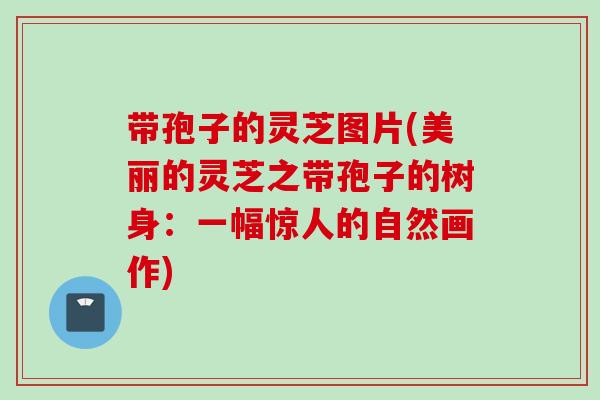带孢子的灵芝图片(美丽的灵芝之带孢子的树身：一幅惊人的自然画作)