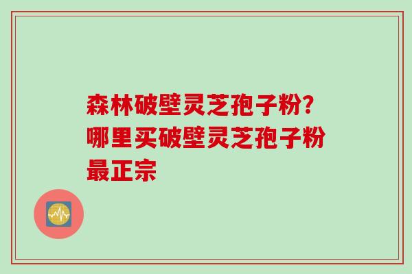森林破壁灵芝孢子粉？哪里买破壁灵芝孢子粉最正宗