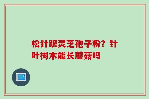 松针跟灵芝孢子粉？针叶树木能长蘑菇吗