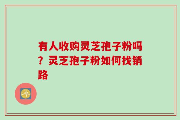 有人收购灵芝孢子粉吗？灵芝孢子粉如何找销路