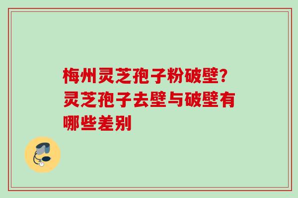 梅州灵芝孢子粉破壁？灵芝孢子去壁与破壁有哪些差别