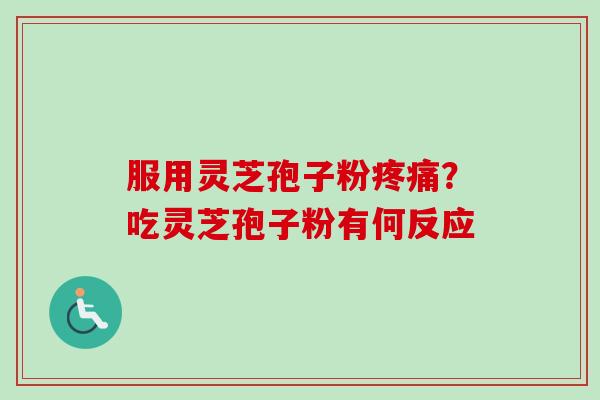服用灵芝孢子粉疼痛？吃灵芝孢子粉有何反应