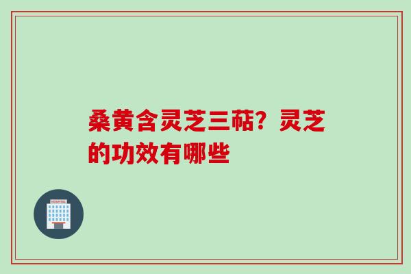 桑黄含灵芝三萜？灵芝的功效有哪些