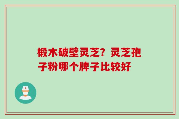 椴木破壁灵芝?灵芝孢子粉哪个牌子比较好 椴木破壁灵芝?灵芝孢子粉哪个牌子比较好