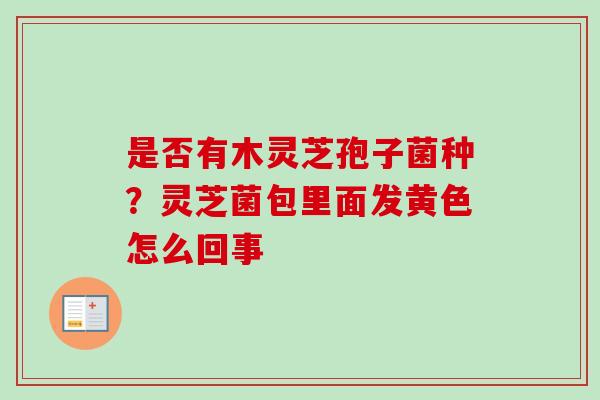 是否有木灵芝孢子菌种？灵芝菌包里面发黄色怎么回事