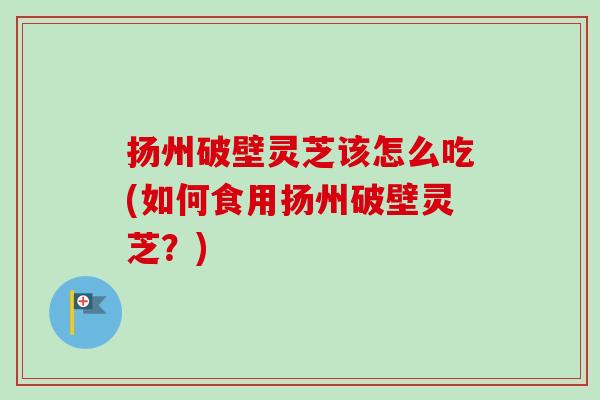 扬州破壁灵芝该怎么吃(如何食用扬州破壁灵芝？)