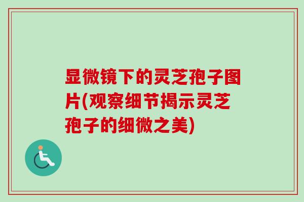 显微镜下的灵芝孢子图片(观察细节揭示灵芝孢子的细微之美)