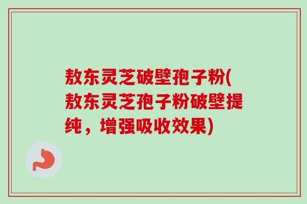 敖东灵芝破壁孢子粉(敖东灵芝孢子粉破壁提纯，增强吸收效果)