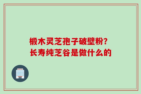 椴木灵芝孢子破壁粉？长寿纯芝谷是做什么的