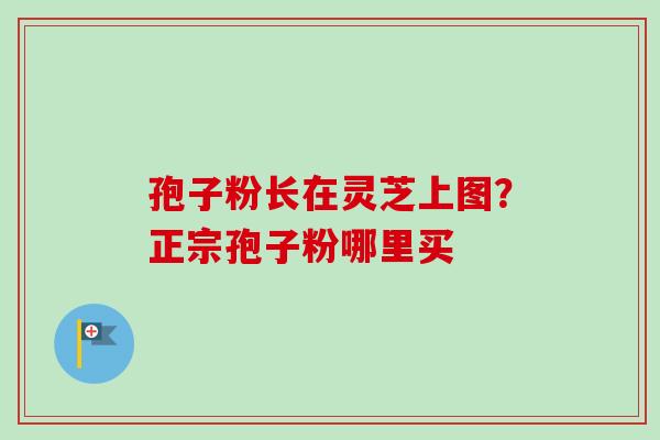 孢子粉长在灵芝上图？正宗孢子粉哪里买