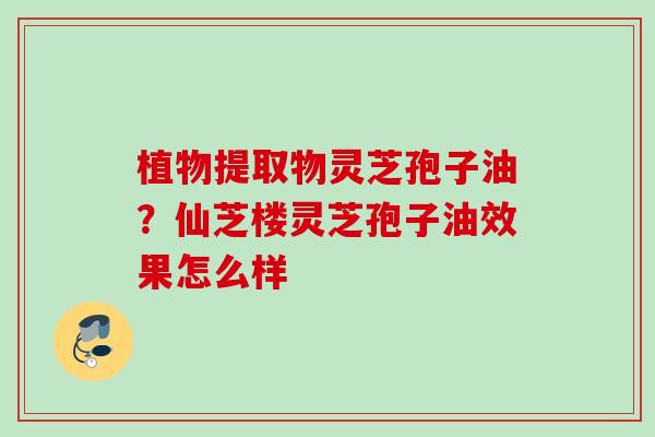 植物提取物灵芝孢子油？仙芝楼灵芝孢子油效果怎么样