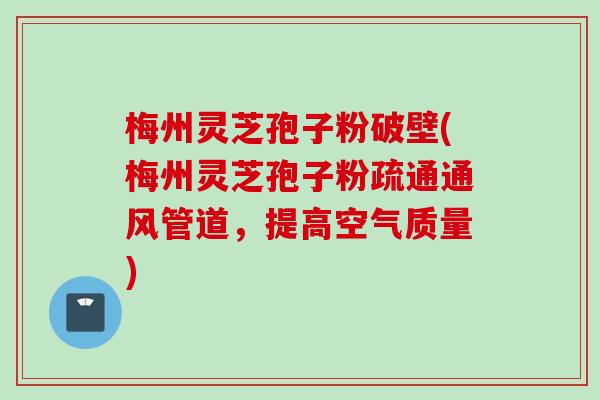 梅州灵芝孢子粉破壁(梅州灵芝孢子粉疏通通风管道，提高空气质量)