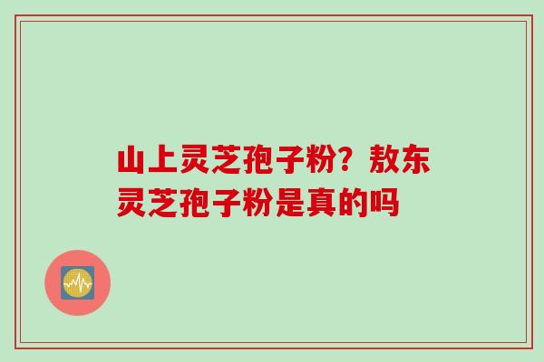 山上灵芝孢子粉？敖东灵芝孢子粉是真的吗