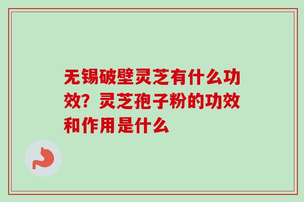 无锡破壁灵芝有什么功效？灵芝孢子粉的功效和作用是什么