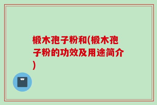椴木孢子粉和(椴木孢子粉的功效及用途简介)