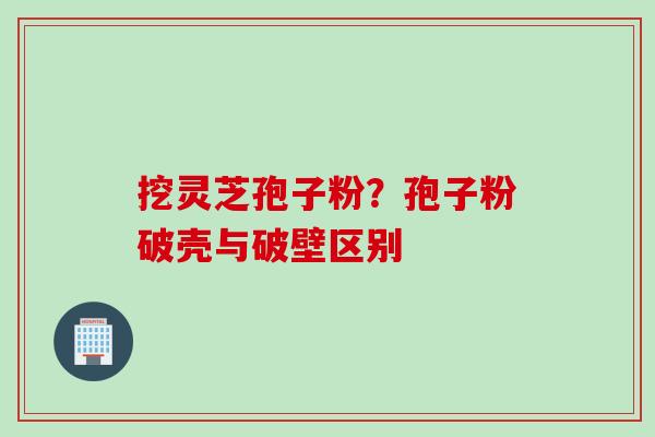 挖灵芝孢子粉？孢子粉破壳与破壁区别