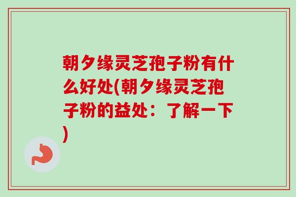朝夕缘灵芝孢子粉有什么好处(朝夕缘灵芝孢子粉的益处：了解一下)
