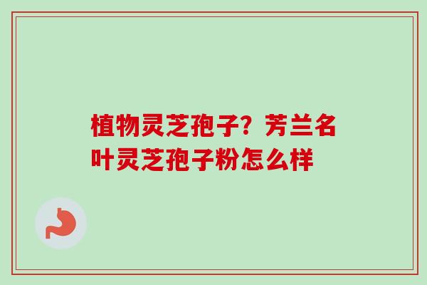 植物灵芝孢子?芳兰名叶灵芝孢子粉怎么样 植物灵芝孢子?芳兰名叶灵芝孢子粉怎么样