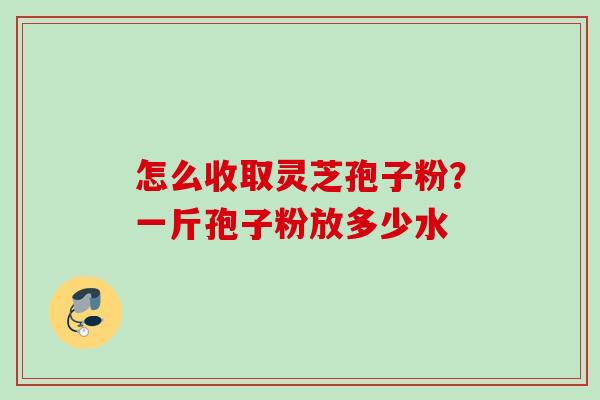 怎么收取灵芝孢子粉？一斤孢子粉放多少水