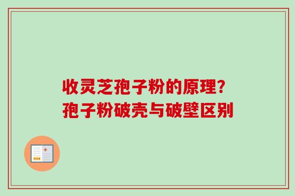 收灵芝孢子粉的原理？孢子粉破壳与破壁区别