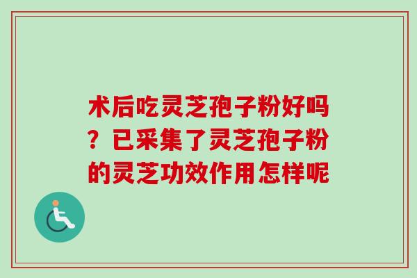 术后吃灵芝孢子粉好吗？已采集了灵芝孢子粉的灵芝功效作用怎样呢