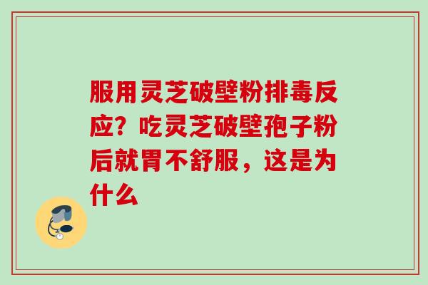 服用灵芝破壁粉反应?吃灵芝破壁孢子粉后就胃不舒服,这是为什么 服用灵芝破壁粉反应?吃灵芝破壁孢子粉后就胃不舒服,这是为什么