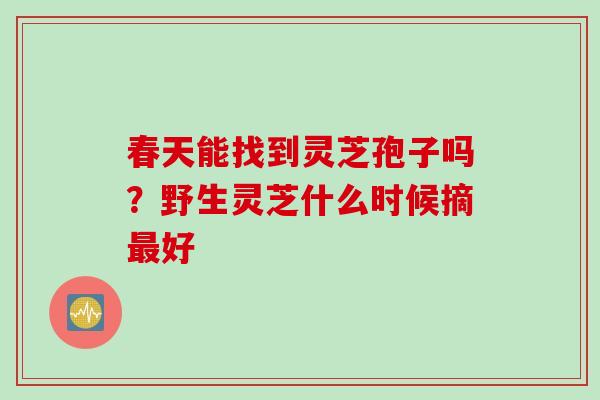 春天能找到灵芝孢子吗？野生灵芝什么时候摘最好