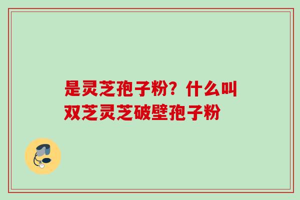 是灵芝孢子粉？什么叫双芝灵芝破壁孢子粉