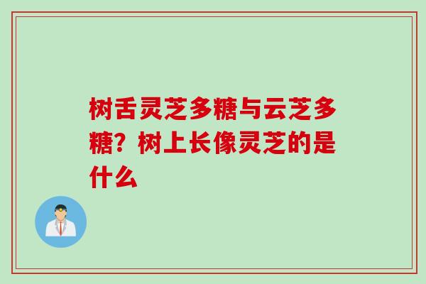 树舌灵芝多糖与云芝多糖？树上长像灵芝的是什么