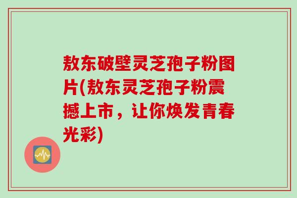 敖东破壁灵芝孢子粉图片(敖东灵芝孢子粉震撼上市，让你焕发青春光彩)