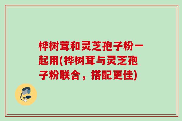 桦树茸和灵芝孢子粉一起用(桦树茸与灵芝孢子粉联合，搭配更佳)