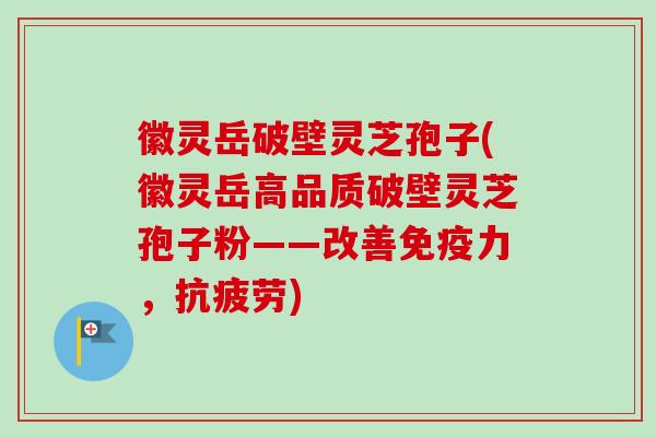 徽灵岳破壁灵芝孢子(徽灵岳高品质破壁灵芝孢子粉——改善免疫力，抗疲劳)