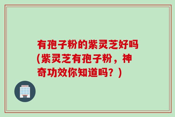有孢子粉的紫灵芝好吗(紫灵芝有孢子粉，神奇功效你知道吗？)