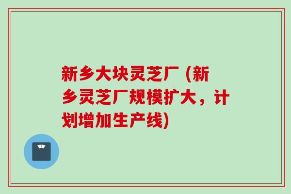 新乡大块灵芝厂 (新乡灵芝厂规模扩大，计划增加生产线)