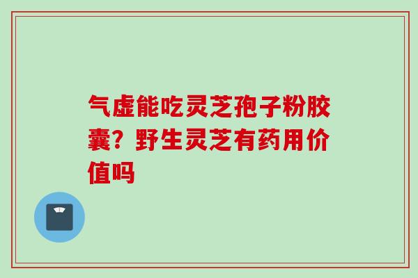 气虚能吃灵芝孢子粉胶囊？野生灵芝有药用价值吗