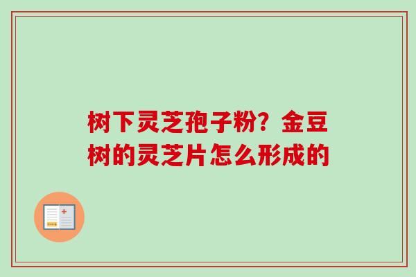 树下灵芝孢子粉？金豆树的灵芝片怎么形成的