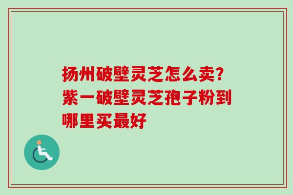 扬州破壁灵芝怎么卖？紫一破壁灵芝孢子粉到哪里买最好