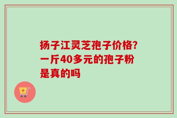 扬子江灵芝孢子价格？一斤40多元的孢子粉是真的吗