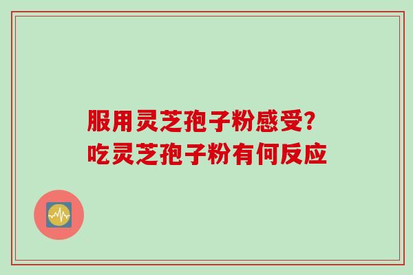 服用灵芝孢子粉感受?吃灵芝孢子粉有何反应 服用灵芝孢子粉感受?吃灵芝孢子粉有何反应