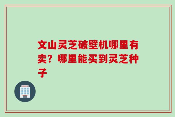 文山灵芝破壁机哪里有卖？哪里能买到灵芝种子