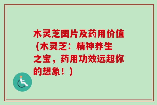 木灵芝图片及药用价值 (木灵芝：精神养生之宝，药用功效远超你的想象！)